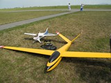 DSCN5016