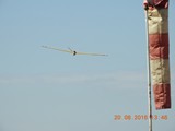 DSCN0519