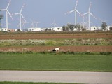 IMG_0321