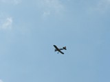 DSCN0913