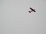 DSCN7322
