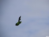 img_0206