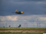 img_0233