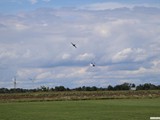 img_0255