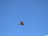 img_0258