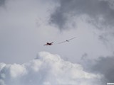 img_0266