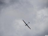 img_0269