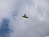 img_0271