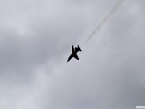 img_0295
