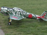 s1960157
