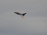 DSC_3128_01