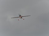 DSC_3196