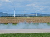 DSC_3395