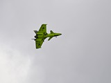 DSC_3500_01