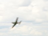 DSC_3514