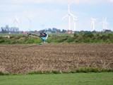 DSC_3546_01