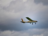 DSC_3617_01