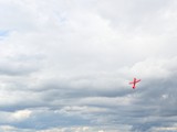 DSC_3686_01