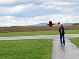 DSC_3690_01