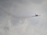 DSC_3706_01