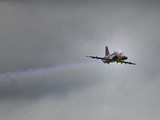 DSC_3709_01