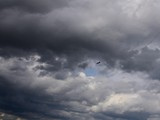 DSC_3717_01