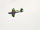 DSC_3760_01