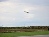 DSC_3772_01