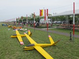 IMG_2990