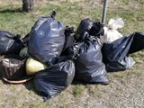 IMG_20220326_105250