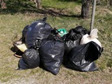 IMG_20220326_105302