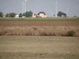 IMG_9117