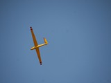 IMG_9175