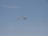 IMG_9201