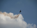 IMG_9224