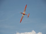 IMG_9254