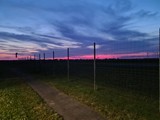 Grillabend 2024-06-28_16