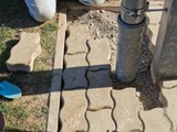 IMG-20211023-WA0008