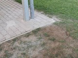 IMG-20211023-WA0010
