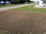 IMG_20211022_103153