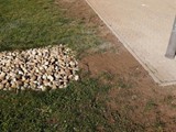 IMG_20211022_103210
