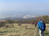 IMG_0014