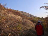 IMG_0368