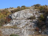 IMG_0369