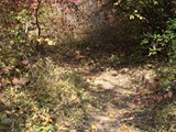 IMG_0375