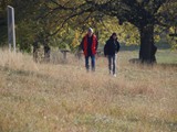 IMG_0379