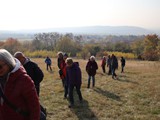 IMG_0380