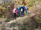IMG_0382