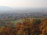 IMG_0383