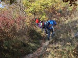 IMG_0385